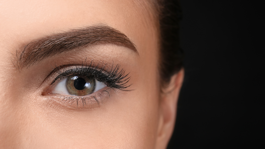 The Hottest Brow Trends for 2024